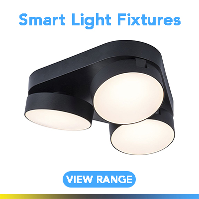 Picture of a smart ceiling light