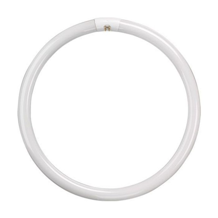 22W T9 CIRCULAR TUBE COL 84 COOL WHITE