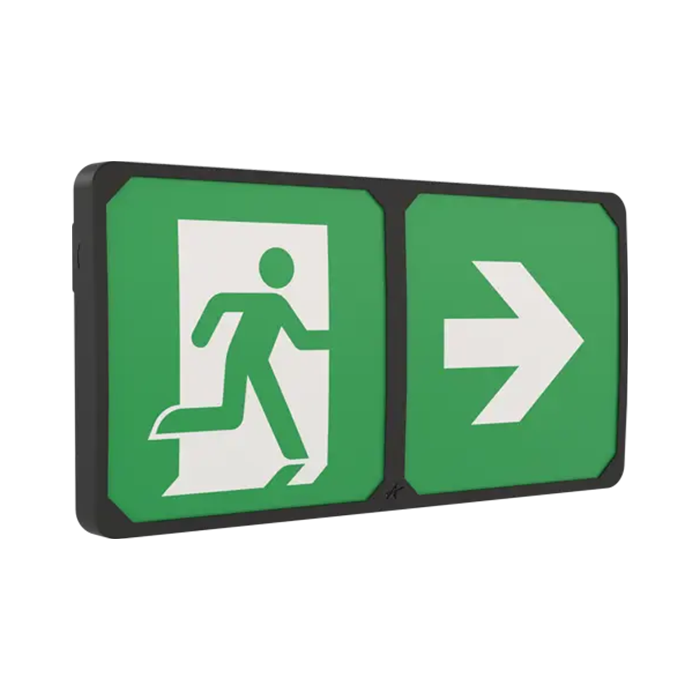 Ansell Adler IP65 Exit Box Black