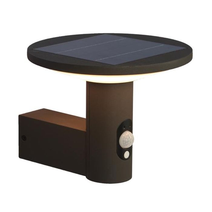 Ansell Talana Solar Wall Light LED - Cool White