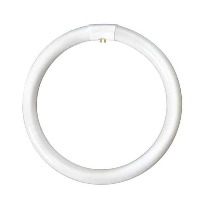 Bell 04192 40W T9 Circular Tube 3000K Warm White G10q