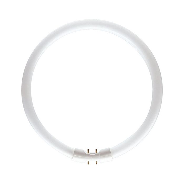 Bell 05463 40W T5 Circular Tube 4000K Cool White 2GX13 
