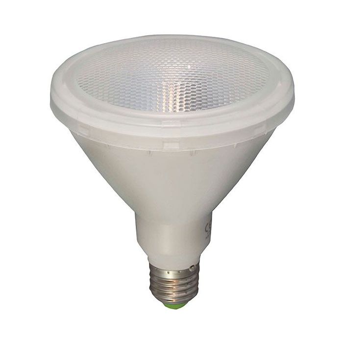 Bell Lighting 15W LED PAR38 External  ES Clear