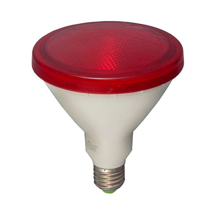 Bell Lighting 15W LED PAR38 External  ES Red