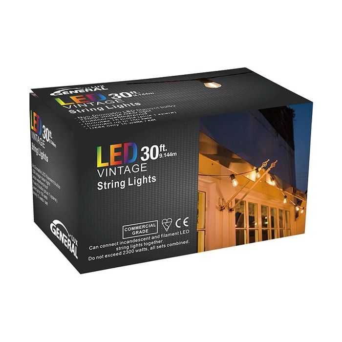 Festoon 30ft Vintage LED Waterproof String Lights Set 9.144m Long