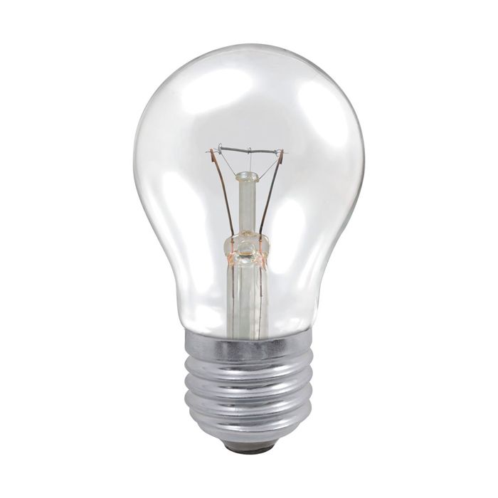Professional 60W ES Clear GLS