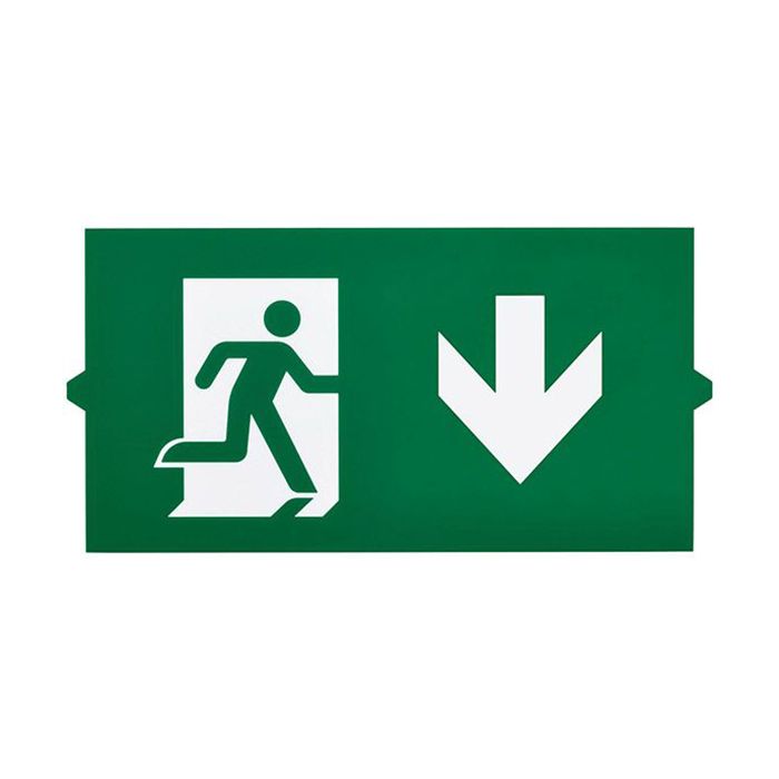 Signify Ecolink Emergency Exit Down Legend Sign