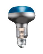 40W ES R64 Blue Spot
