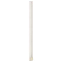 40W DDL/PLL Colour 840 Cool White 4 Pin 2G11