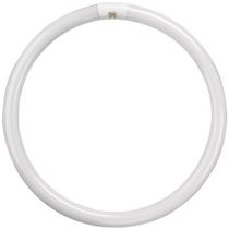40W T9 CIRCULAR TUBE COL 84 COOL WHITE