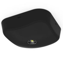 Ansell Falcon Black 2.6W LED Surface Non-Maintained Emergency Downlight