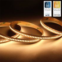 Ansell P-Cell 24V 19.2W IP20 White 2700K 5M Professional LED Strip