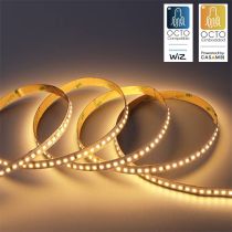 Ansell P-Cell 24V 4.8W IP20 White 2700K 5M Professional LED Strip