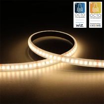 Ansell P-Cell 24V 4.8W IP65 White 3000K 5M Professional LED Strip