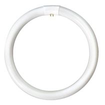 Bell 04196 40W T9 Circular Tube 4000K Cool White G10q