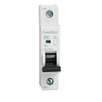 FuseBox 50A 1 Pole B Curve MCB