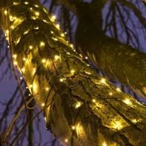 Warm White LED Outdoor string lights