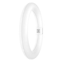 Ledvance 11W (20W) LED T9 Circular Tube G10q 865 EM 