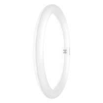 Ledvance 18.3W (32W) LED T9 Circular Tube G10q 865 EM