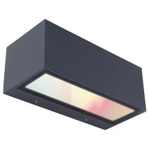 LUTEC Gemini Smart Colour Changing up/down Wall Light