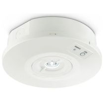Signify Ecolink 2W Emergency LED Surface Spot 3HR 6500K