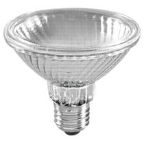 Sylvania 100W ES Par 30 Halogen Spot