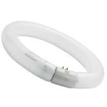 Sylvania Circline 40W T9 Circular Tube 3000K Warm White G10q